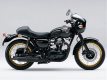 W800 Special Edition Cafe Style | Bj:12 -